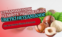 Uzmanlar Fındık O Tarihte 160 TL Dediler! 26 Ocak Fındık Güncel Fiyatları