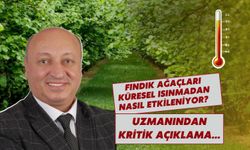 Fındık Ağaçları Küresel Isınmadan Nasıl Etkileniyor? Uzmanından Kritik Açıklama…