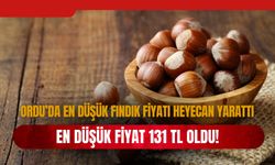 Ordu’da En Düşük Fındık Fiyatı 131 TL Oldu!