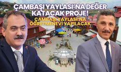 Çambaşı Yaylası’na Değer Katacak Proje