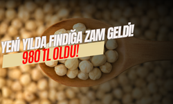 Yeni Yılda Fındığa Zam Geldi! 980 TL Oldu!