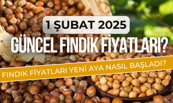 1 Şubat 2025 Güncel Fındık Fiyatları? Fındık Fiyatları Yeni Aya Nasıl Başladı?