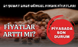 21 Şubat 2025 Güncel Fındık Fiyatları: Piyasada Son Durum