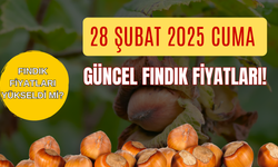 28 Şubat 2025 Cuma Güncel Fındık Fiyatları! Fındık Fiyatları Yükseldi Mi?