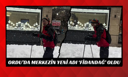 Ordu'da Kar Yağışı Sonrası Vatandaşın Snowboard Şovu Şaşırttı