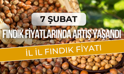 Fındık Fiyatlarında Artış Yaşandı! 7 Şubat 2025 Güncel Fındık Fiyatları....