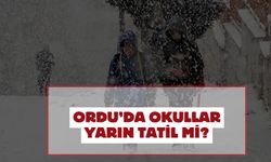 7 Ocak Ordu’da Okullar Tatil Mi?