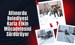 Altınordu Belediyesi Karla Etkin Mücadelesini Sürdürüyor