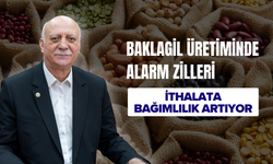 Baklagil Üretiminde Alarm Zilleri: İthalata Bağımlılık Artıyor