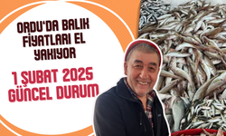 Ordu’da Balık Fiyatları El Yakıyor: 1 Şubat 2025 Güncel Durum