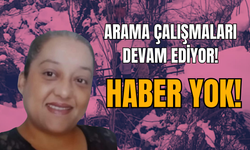 Ordu'da Kayıp Kadını Arama Çalışmaları Devam Ediyor!