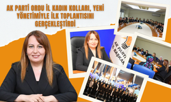 AK Parti Ordu İl Kadın Kolları, Yeni Yönetimiyle İlk Toplantısını Gerçekleştirdi