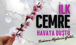 Baharın Müjdecisi: İlk Cemre Havaya Düştü!