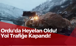 Ordu'da Heyelan Oldu! Yol Trafiğe Kapandı!