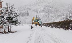 Doğu Karadeniz’de kış