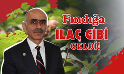 Fındığa İlaç Gibi Geldi!