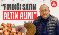 Ordulu Fındık Üreticilerine “Altın” Tavsiyeler!