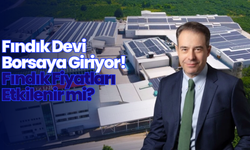 Fındık Devi Borsaya Giriyor! Fındık Fiyatları Etkilenir mi?