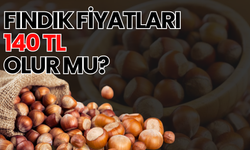 Ordu’da Fındık Fiyatları Arttı! 8 Şubat Fındık Fiyatları…