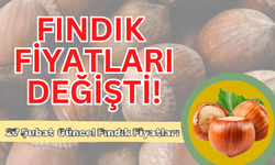 Fındık Fiyatları Değişti! 27 Şubat Güncel Fındık Fiyatları….