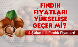 Fındık Fiyatları Yükselişe Geçer Mi? 4 Şubat 2025 Güncel Rakamlar…