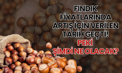 Fındık Fiyatlarında Artış İçin Verilen Tarih Geçti! Peki Şimdi Ne Olacak?