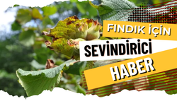 Fındık İçin Sevindirici Haber!