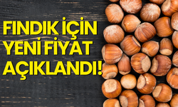 Fındık İçin Yeni Fiyat Açıklandı!