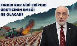 Fındık Kar Gibi Eriyor! Üreticinin Emeği Ne Olacak?