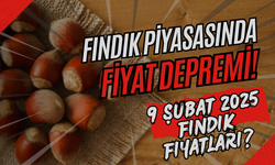 Fındık Piyasasında Fiyat Depremi! 9 Şubat 2025 Fındık Fiyatları?