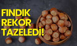 Fındık Rekor Tazeledi!