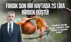 Fındık, son bir haftada 20 lira birden düştü!