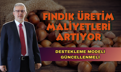 Fındık Üretim Maliyetleri Artıyor, Destekleme Modeli Güncellenmeli