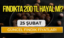 Fındıkta 200 TL Hayal Mi? 25 Şubat Güncel Fındık Fiyatları…