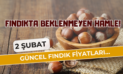 Fındıkta Beklenmeyen Hamle! 2 Şubat Güncel Fındık Fiyatları…