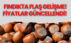 Fındıkta Flaş Gelişme! Fiyatlar Güncellendi!