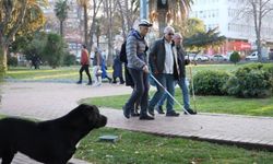 Görme engellilerin kabusu: Scooterlar, sokak köpekleri, kaldırım işgalleri