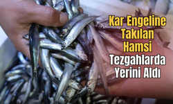 Ordu'da Kar Engeline Takılan Hamsi Tezgahlarda Yerini Aldı