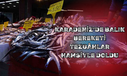 Karadeniz’de Balık Bereketi: Tezgâhlar Hamsiyle Doldu