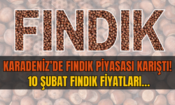 Karadeniz’de Fındık Piyasası Karıştı!  10 Şubat Fındık Fiyatları…