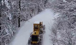 Kastamonu’da kar sebebiyle yolu kapalı köy sayısı 157’ye düştü