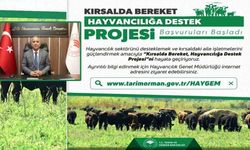 ‘Kırsalda Bereket, Hayvancılığa Destek Proje’ başvuruları başladı