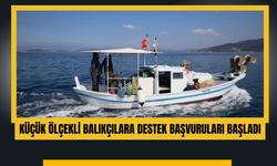 Küçük Ölçekli Balıkçılara Destek Başvuruları Başladı