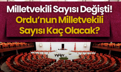 Milletvekili Sayısı Değişti! Ordu’nun Milletvekili Sayısı Kaç Olacak?