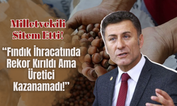 Milletvekili Sitem Etti! “Fındık İhracatında Rekor Kırıldı Ama Üretici Kazanamadı!”