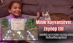 Minik Hayvansever Zeynep Elif, Kedisi Maya'nın Hatırasını Ölümsüzleştirdi