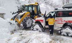 OBB, bir günde 2 bin 366 kilometre yolu ulaşıma açtı