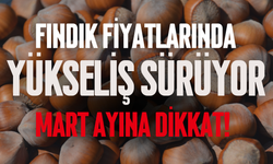 Fındık Fiyatlarında Yükseliş Sürüyor: Mart Ayına Dikkat