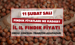 Ordu’da 11 Şubat 2025 Fındık Fiyatları Ne Kadar? İşte Güncel Durum!