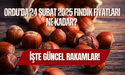 Ordu'da 24 Şubat 2025 Fındık Fiyatları Ne Kadar? İşte Güncel Rakamlar!